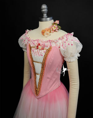 Swanhilda Coppelia Romantic Peasant Professional Ballet Costume